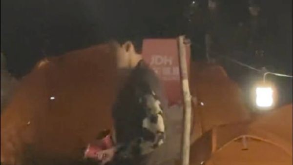 我爸拿的啥啊？泡面？ cr.喵咪