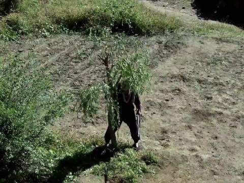 吸铁石仅凭一颗柳树,竟干掉鬼子骑兵连队 战争