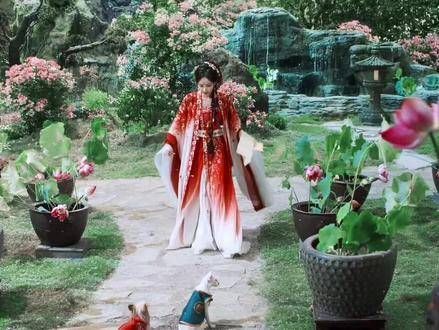 求婚有多浪漫,婚礼就有多虐