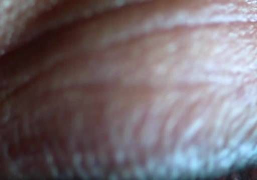 恕我直言,这片子的编剧一定吸毒