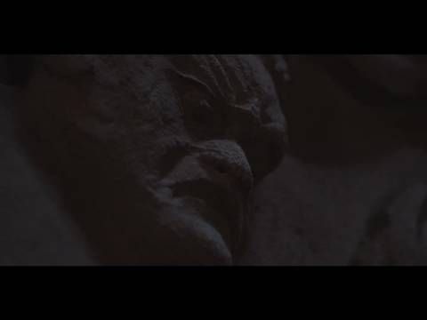 杨紫何惟芳李现蒋长扬《国色芳华》热播