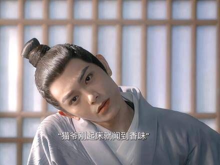 饼爷头疼见陈拾转柔和,赞其用心养猫