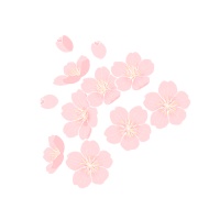 宋词三百首笺注丨张镃