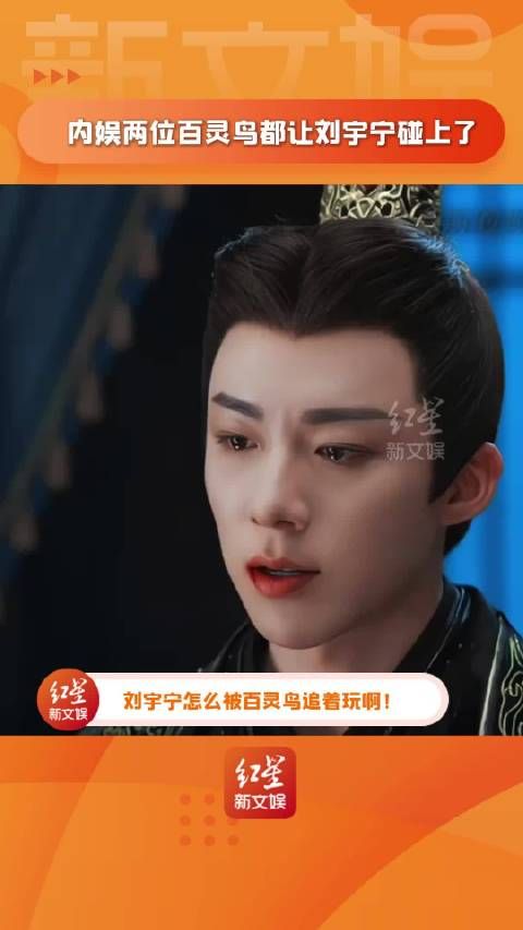 内娱两位著名的百灵鸟都让刘宇宁遇到了,一个个轮番追着宁哥玩哈哈哈哈