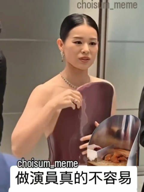 真的很像切烧味那个挡板