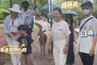 汪峰与森林北同游日本，各带各的娃互不耽误，重组家庭为啥更幸福