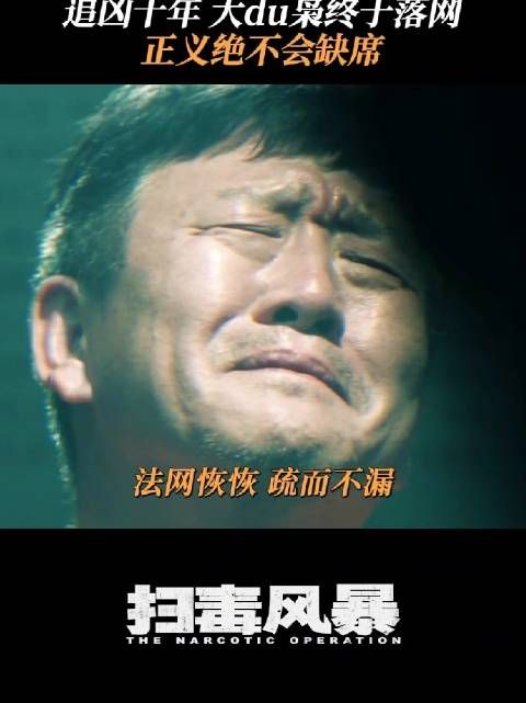 林强峰苦寻十年龙哥落网,段奕宏刘欢侯岩松参演扫毒风暴
