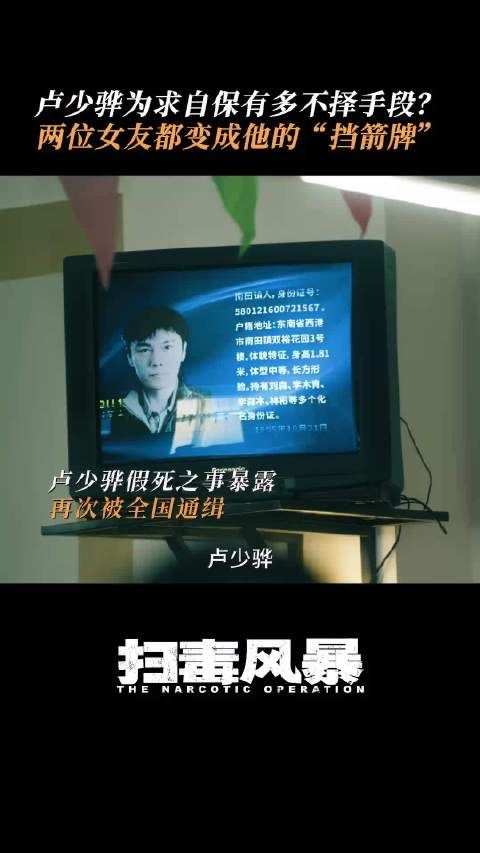 大难临头,卢少骅跑的比谁都快,身边的人都可以利用,《扫毒风暴》