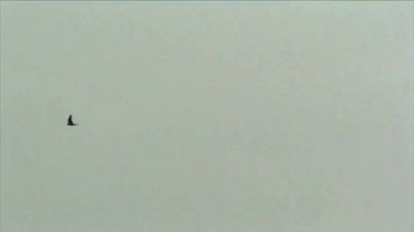 李兰迪新剧骨相美引关注