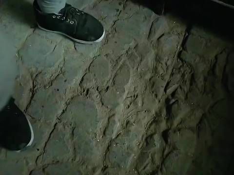 李云龙若退让恐失全团人心,张大彪首当其冲