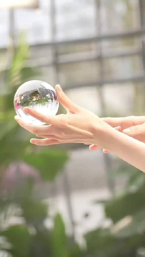 杨幂清雅气质如茉莉绽放