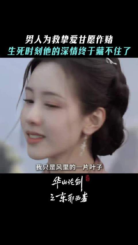 冯衡称自己是风里叶子易被遗忘,黄药师反驳称根本忘不了