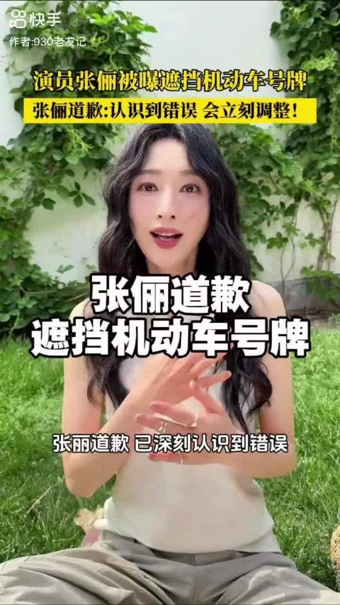 张俪道歉:公众人物的规则课