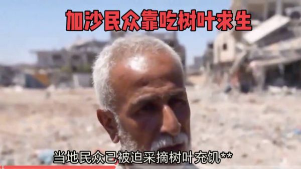 加沙老人吃树叶求生,战争封锁致人道危机加剧