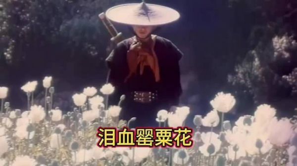 1993年电影《泪血罂粟花》主演赵阳蒋洪波息影前作品