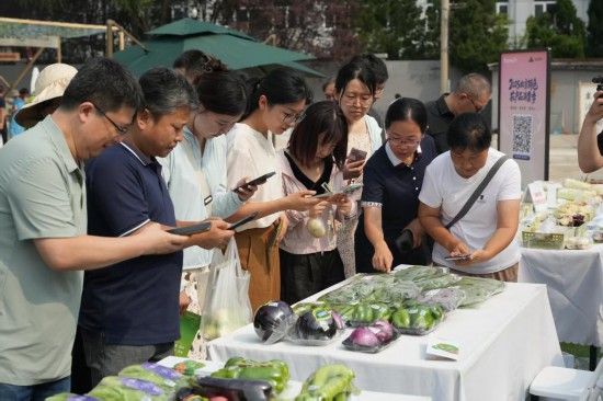 市民正在市集上通过扫描“JN码”了解蔬菜信息。新华社发