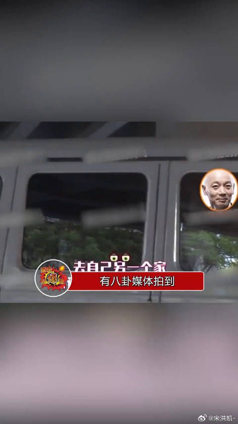 葛优驾车接三岁儿子外出,打破丁克传闻