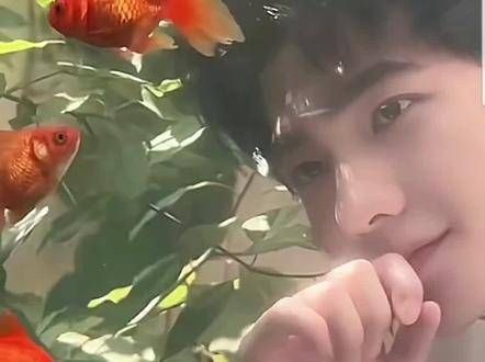 实在太惊艳，实在太好看，这位兄弟，帅到没朋友了