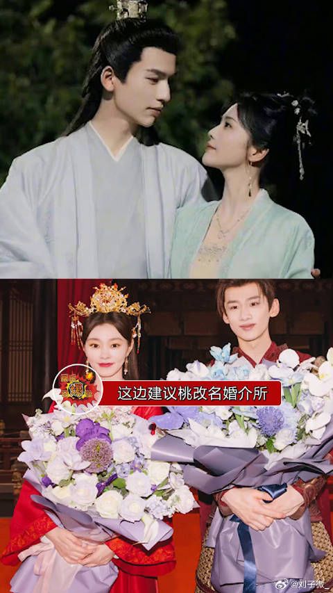 建议桃改名婚介所吧,拍一部成一对情侣,这就是沉浸式嗑cp吗?