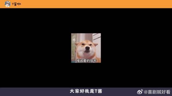 北斗七行初见面，主打一个全员凌乱！
