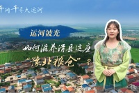 文化中国行·千问千寻大运河 | 运河波光，如何滋养滑县这座“豫北粮仓”？