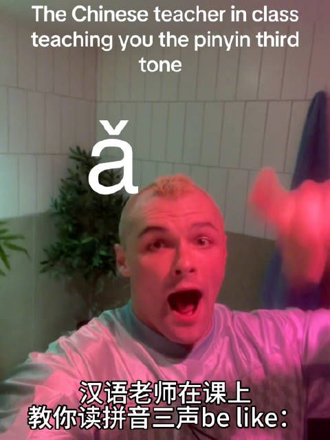 笑死！老外学读汉语拼音三声（上声）be like