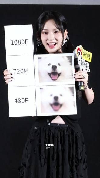这期是我专属定制的萨摩耶1080p