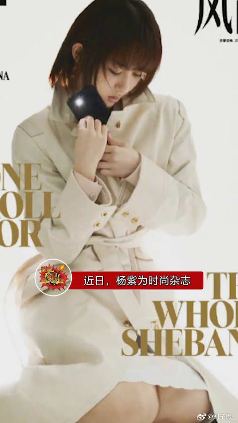 杨紫杂志照被指抄袭王菲封面，摄影师否认