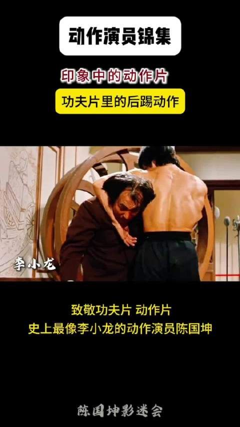 李小龙李连杰甄子丹陈国坤托尼贾经典后踢动作解析