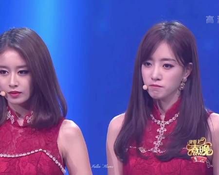 央视镜头下的T-ARA，我要上春晚