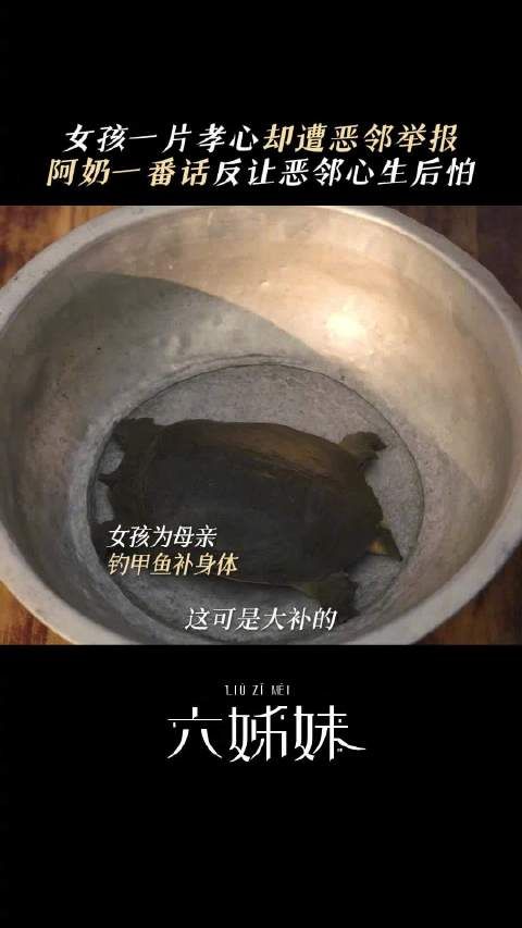 阿奶霸气展示什么叫兔子急了还咬人呢!每晚19:30锁定北京卫视品质剧场