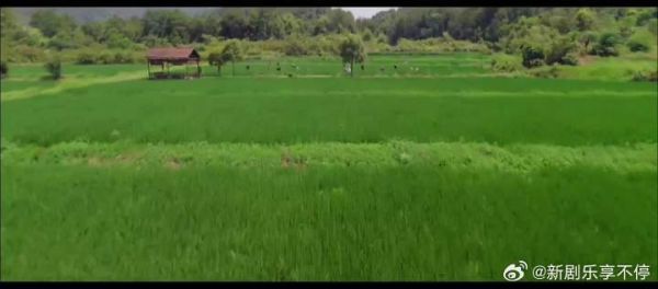 李一桐刘宇宁新剧大结局反转,南瑞映秋终成眷属