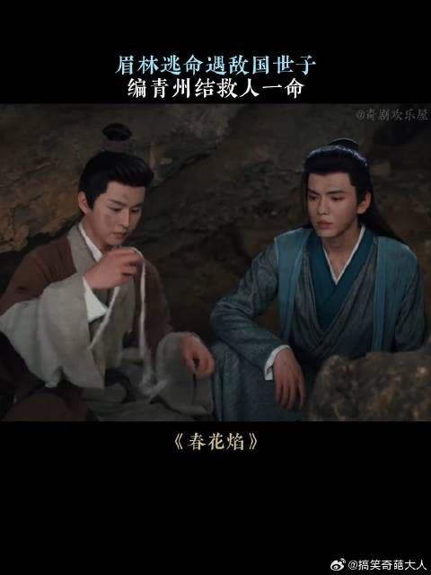 眉林逃命遇敌国世子,编青州结救人一命