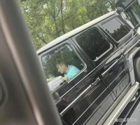 文章姚笛复合了？网友偶遇文章驾车外出，副驾驶疑似坐着姚笛