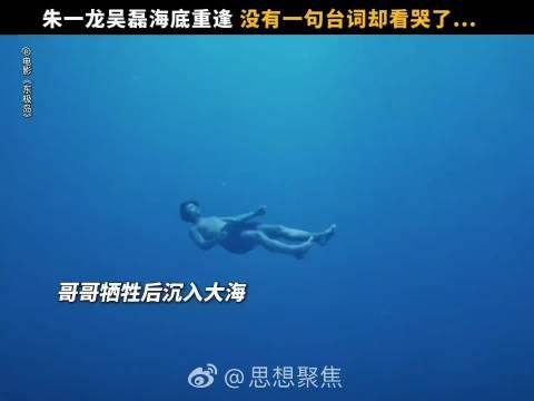 东极岛阿赑阿荡海底重逢，无台词羁绊看哭观众