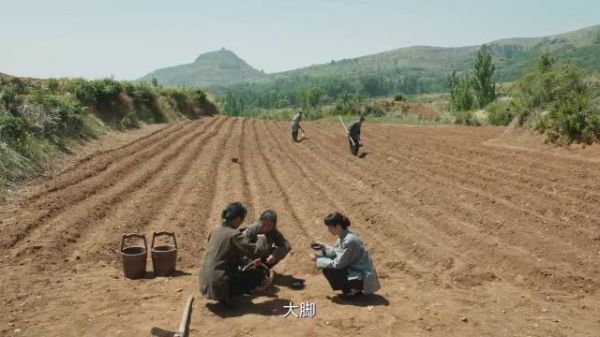 《生万物》导演快给林永健老师加钱吧！