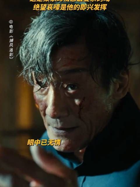 狼王本王爆发时刻的顶级诠释,不愧为影帝级别 电影捕风追影
