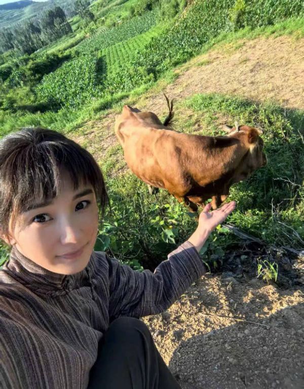 杨幂与牛合影，秒变放牛少女！