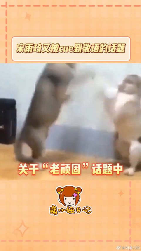 李美珠说话的艺术我真的respect