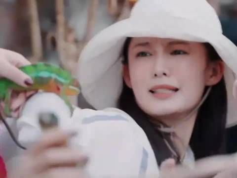 光是先导片就给我迷住了