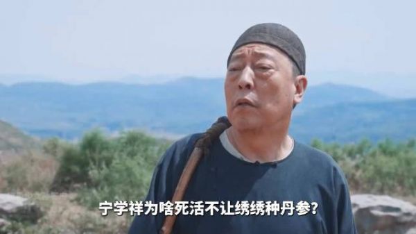 杨幂《生万物》绣绣流产戏引共鸣，母爱无声震撼观众
