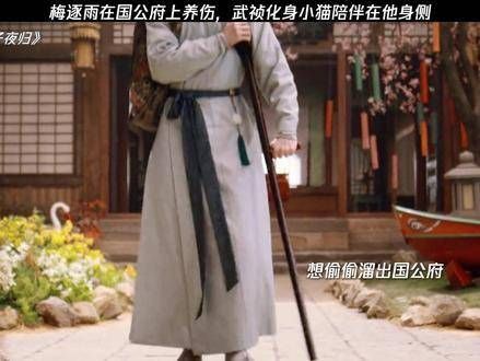武祯化作猫咪静静守候梅逐雨身边