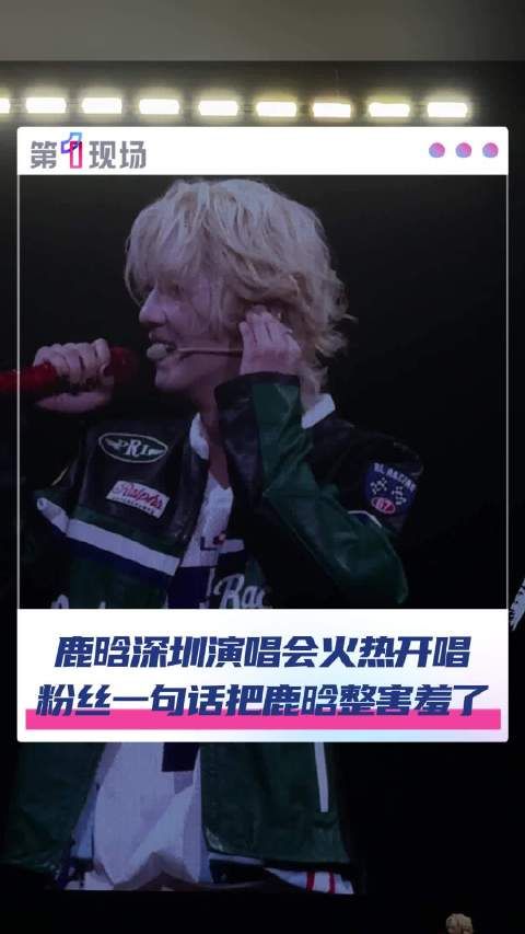 鹿晗演唱会被粉丝表白害羞回应