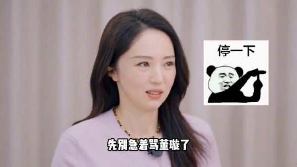 董璇母亲言论引争议，张维伊催生二胎背后现代际观念冲突