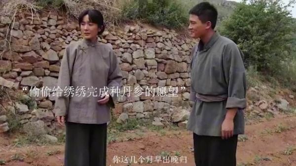 绣绣种丹参发家赚500大洋,大脚暗中支持打脸宁学祥