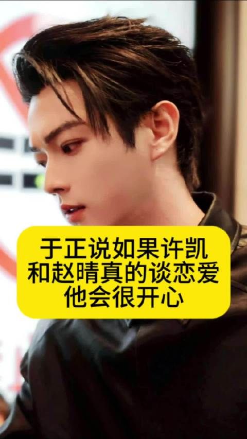 于正说如果许凯和赵晴真的谈恋爱,他会很开心