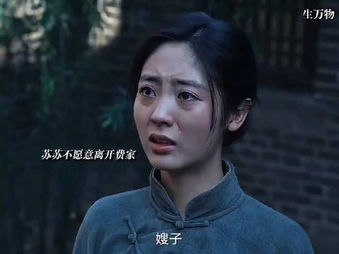 费文典因公牺牲,费家嫂子无情的将苏苏赶出家门,苏苏这一生真的太苦了!