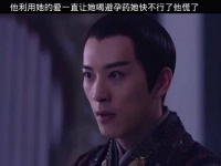 失去挚爱一次他怕在失去一次，可惜最后淑容妃还是没了