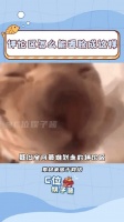 人的脑子和嘴怎么能这么没有默契啊