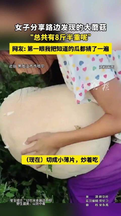 女子发现8斤半巨型蘑菇引网友惊叹